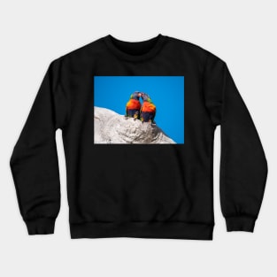 Gum Tree Romance - Rainbow Lorikeets Crewneck Sweatshirt